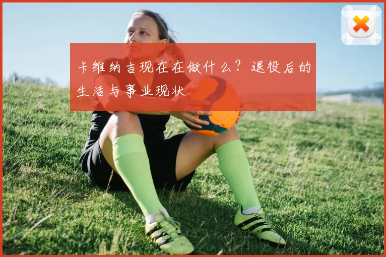卡维纳吉现在在做什么？退役后的生活与事业现状