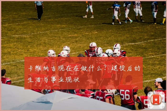 卡维纳吉现在在做什么？退役后的生活与事业现状