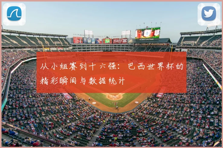 从小组赛到十六强：巴西世界杯的精彩瞬间与数据统计