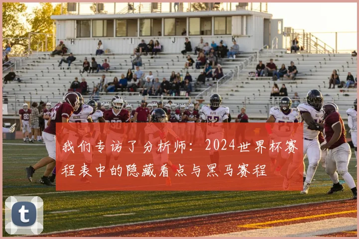 我们专访了分析师：2024世界杯赛程表中的隐藏看点与黑马赛程
