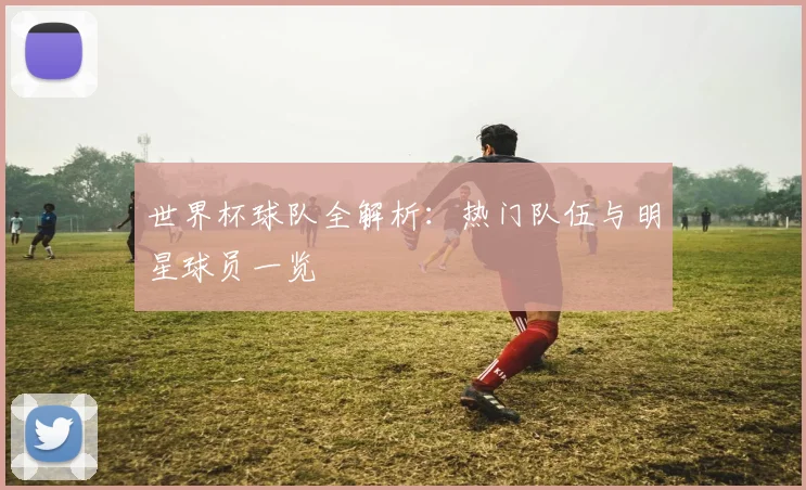 世界杯球队全解析：热门队伍与明星球员一览