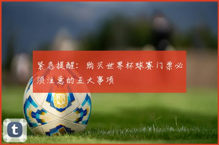 紧急提醒：购买世界杯球赛门票必须注意的五大事项