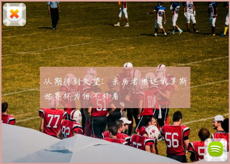 从期待到失望：亲历者讲述俄罗斯世界杯为何不好看