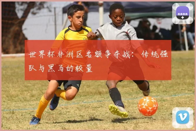 世界杯非洲区名额争夺战：传统强队与黑马的较量