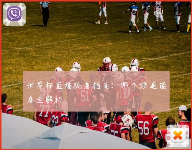 世界杯直播观看指南：哪个频道能看全解析