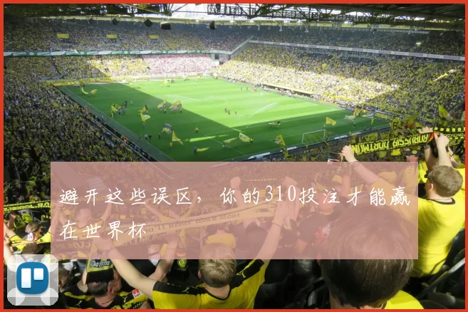 避开这些误区，你的310投注才能赢在世界杯