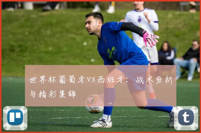 世界杯葡萄牙vs西班牙：战术分析与精彩集锦