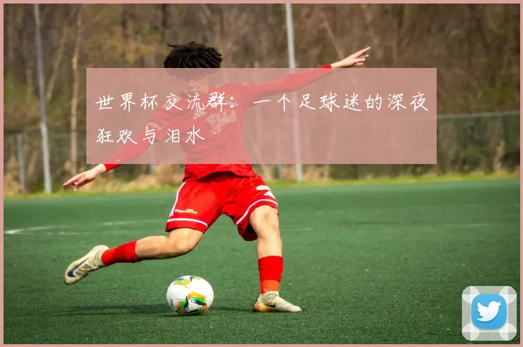 世界杯交流群：一个足球迷的深夜狂欢与泪水