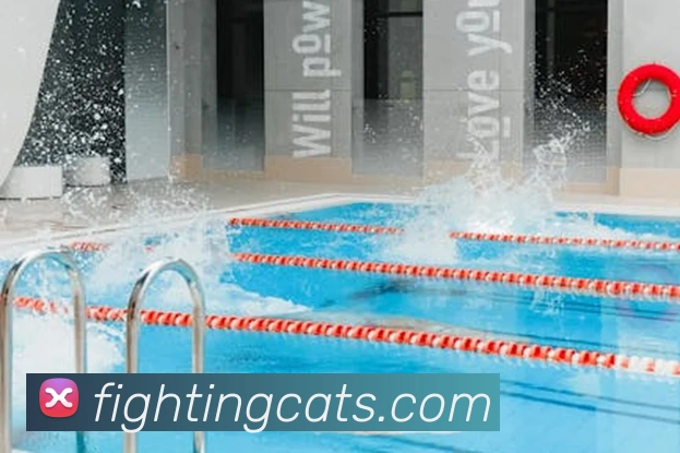 九游体育app官方首页APP 体育赛事宣传图